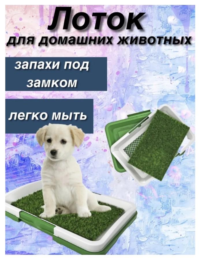 Лоток-имитация травы для домашних животных 4