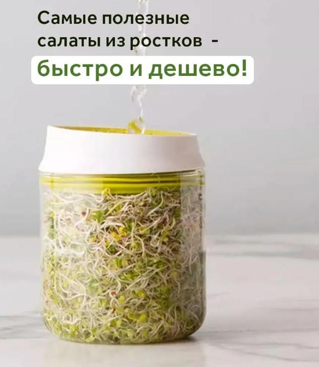 Recipient germinare seminte J03 DX10731 3