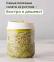 Recipient germinare seminte J03 DX10731 3