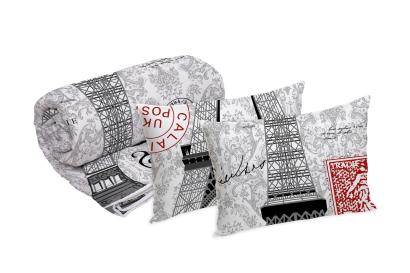 Set 2 perne microfibra 50x70 cm si pilota matlasata 220x200 cm Paris