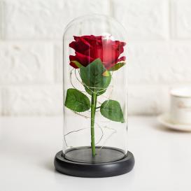 Trandafir criogenat cu iluminare LED - Love Story