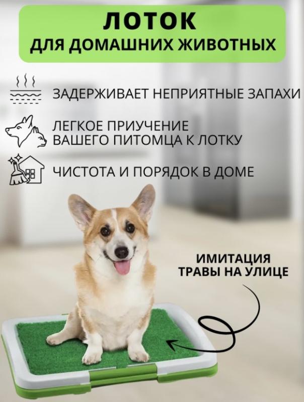 Лоток-имитация травы для домашних животных